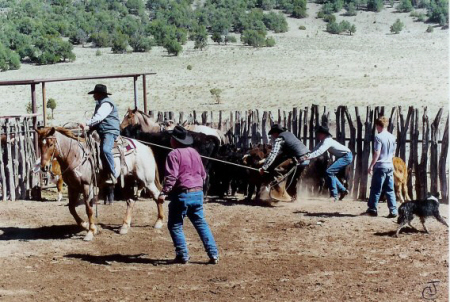 BGX Ranch